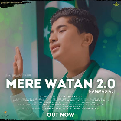 Meray Watan Ye Aqeedatein 2.0 | Hammad Ali | 14 August Song